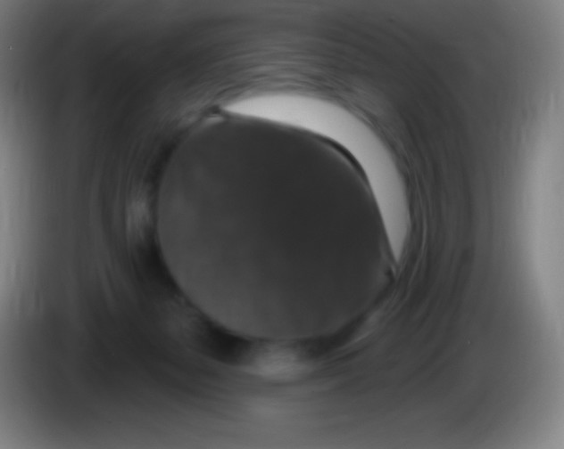 X0000085300127200703302009