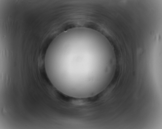 X0000085300129200703302009