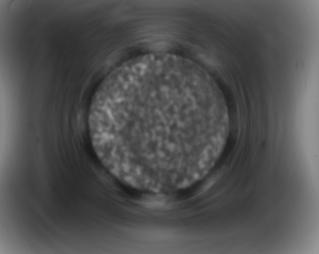 X0000085300131200703302009