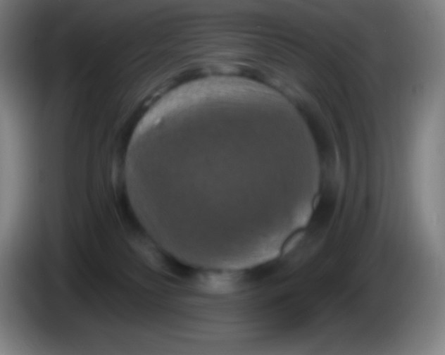 X0000085300134200703302009