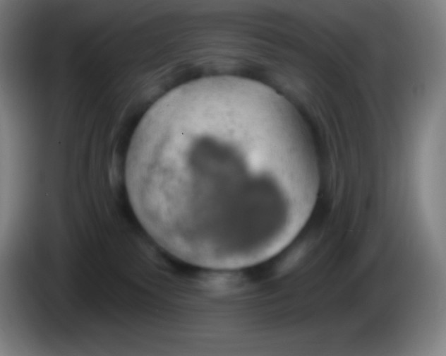 X0000085300135200703302009
