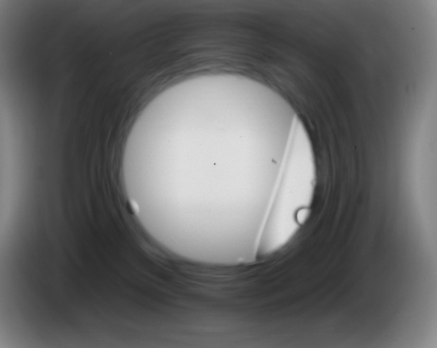 X0000085300136200703302009