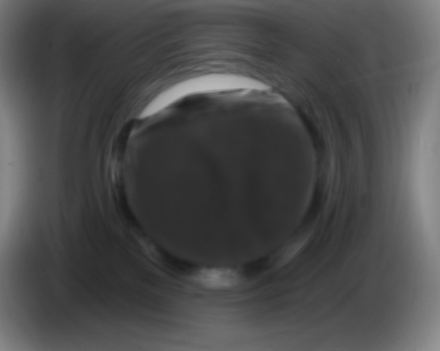 X0000085300137200703302009