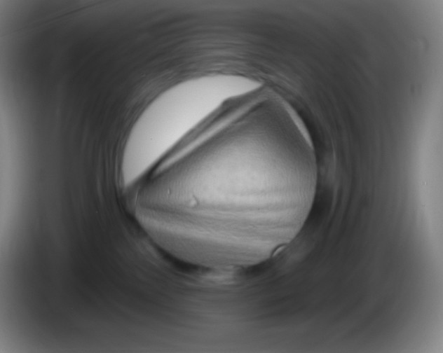 X0000085300138200703302009