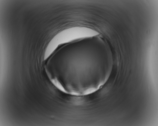 X0000085300139200703302009