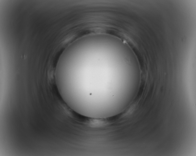 X0000085300141200703302009