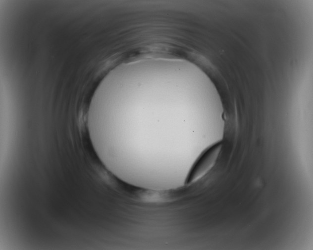 X0000085300142200703302009