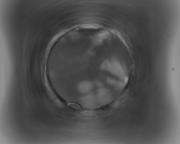 X0000085300145200703302008