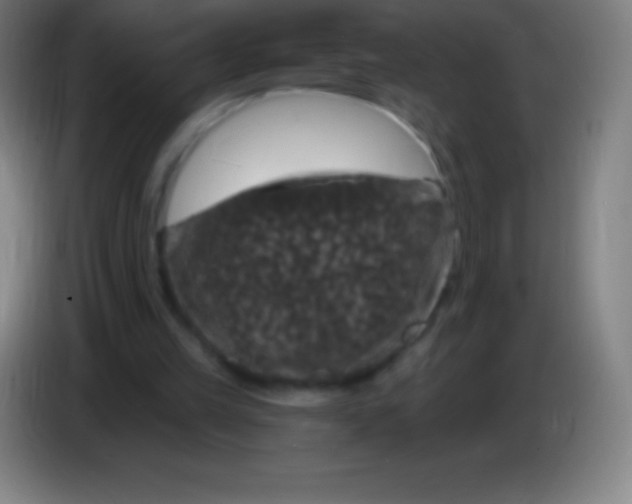 X0000085300149200703302008