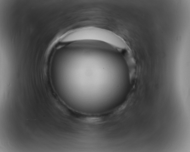 X0000085300150200703302008