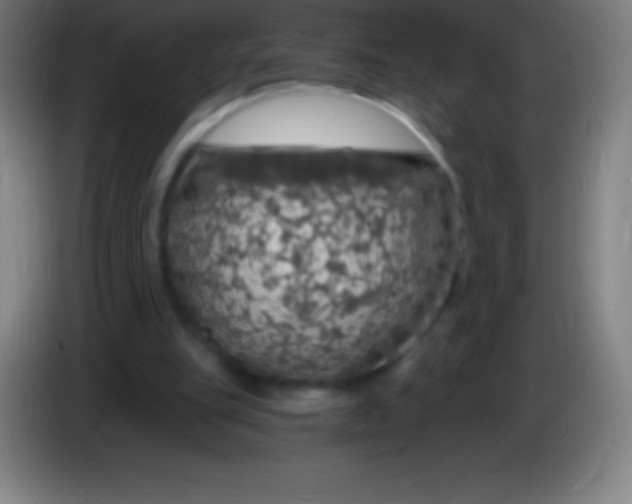 X0000085300151200703302008