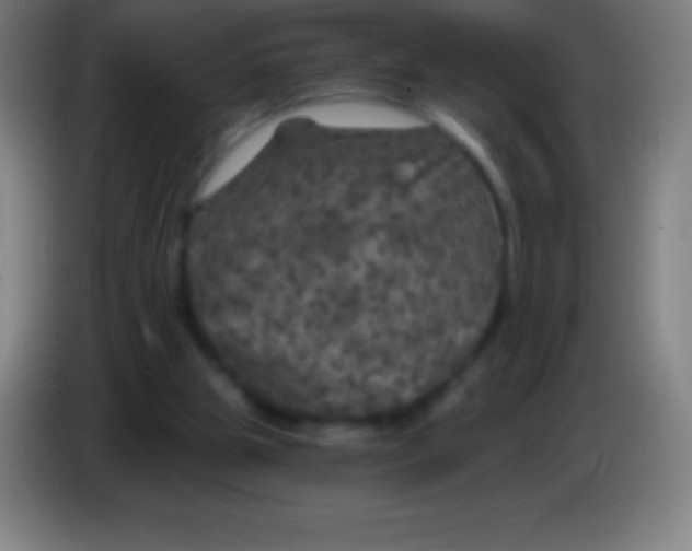 X0000085300153200703302008