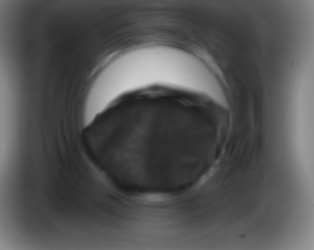 X0000085300154200703302008