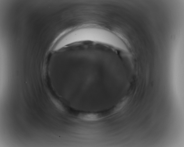 X0000085300156200703302008