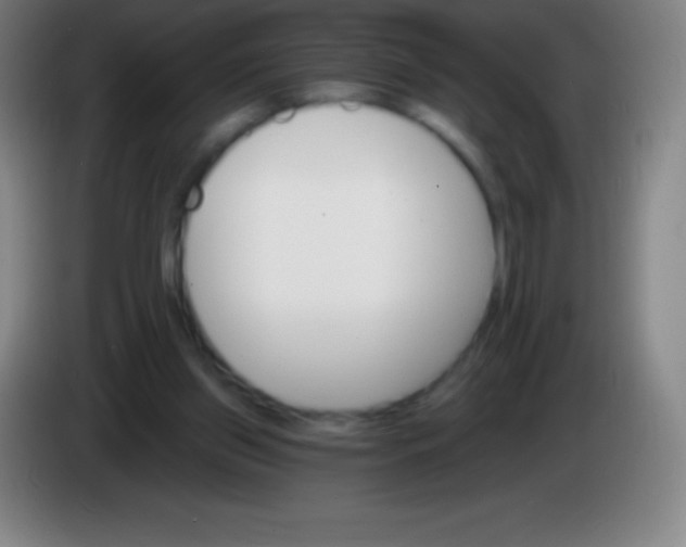 X0000085300157200703302008