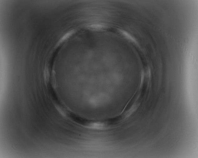 X0000085300158200703302008