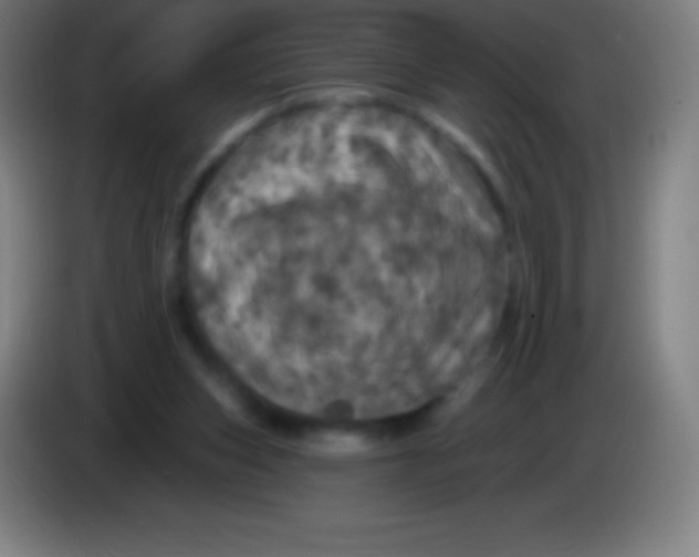 X0000085300159200703302008