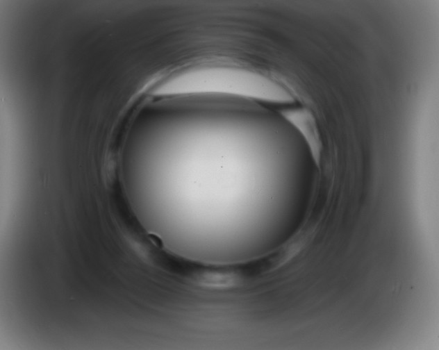 X0000085300160200703302008