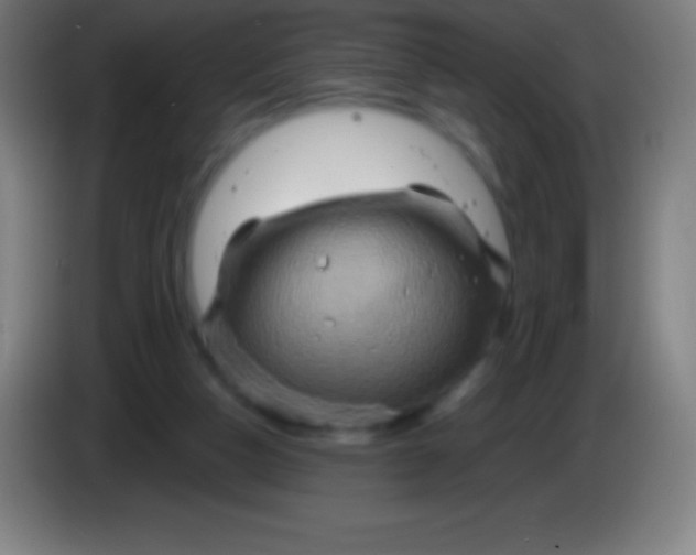 X0000085300162200703302008