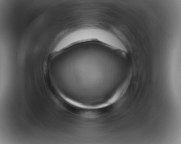 X0000085300163200703302008