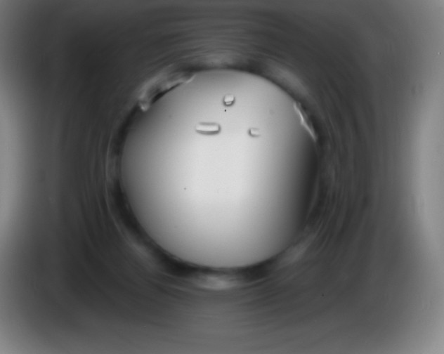 X0000085300164200703302008