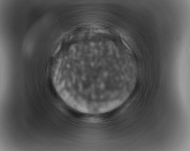 X0000085300165200703302008