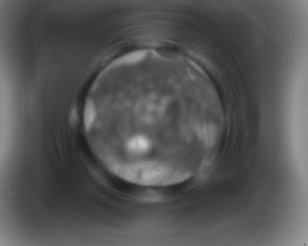 X0000085300166200703302008