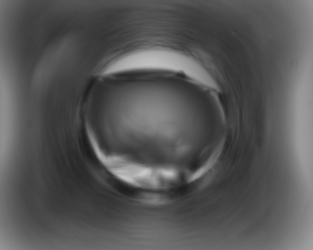 X0000085300167200703302008