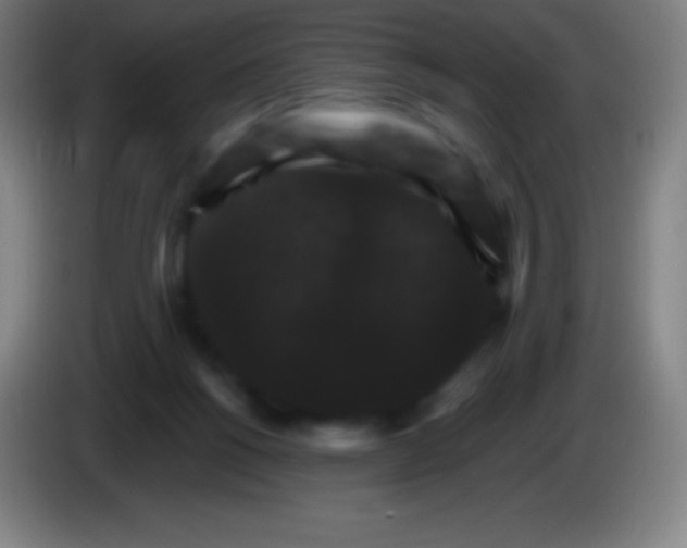 X0000085300168200703302008