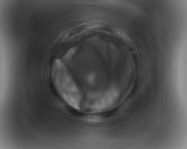 X0000085300169200703302009