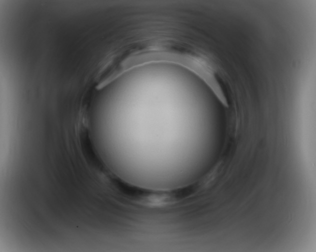 X0000085300172200703302009
