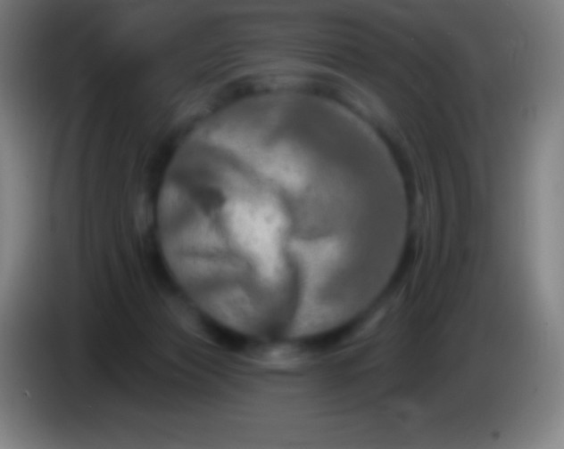 X0000085300173200703302009