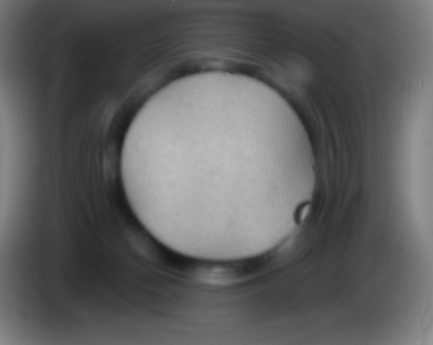 X0000085300174200703302009
