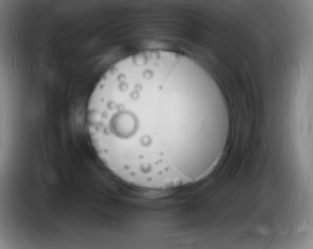 X0000085300175200703302009