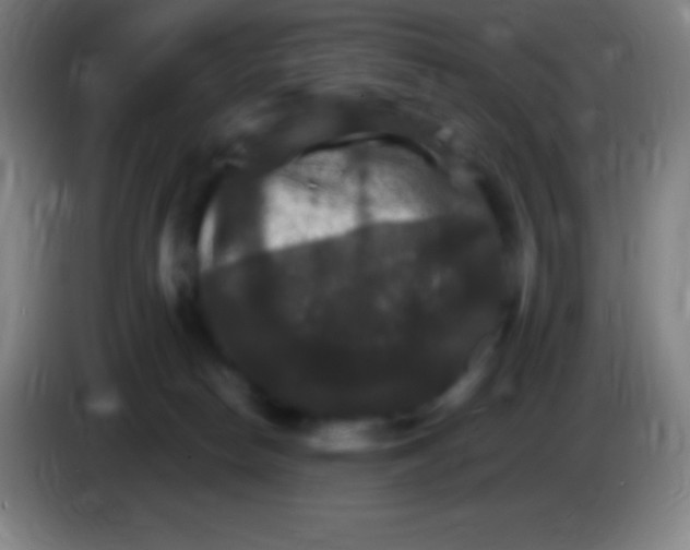 X0000085300178200703302009