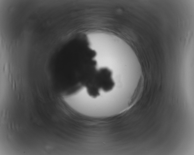 X0000085300179200703302009
