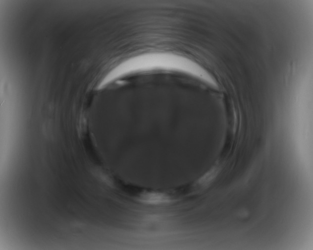 X0000085300180200703302009