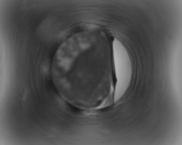 X0000085300181200703302009