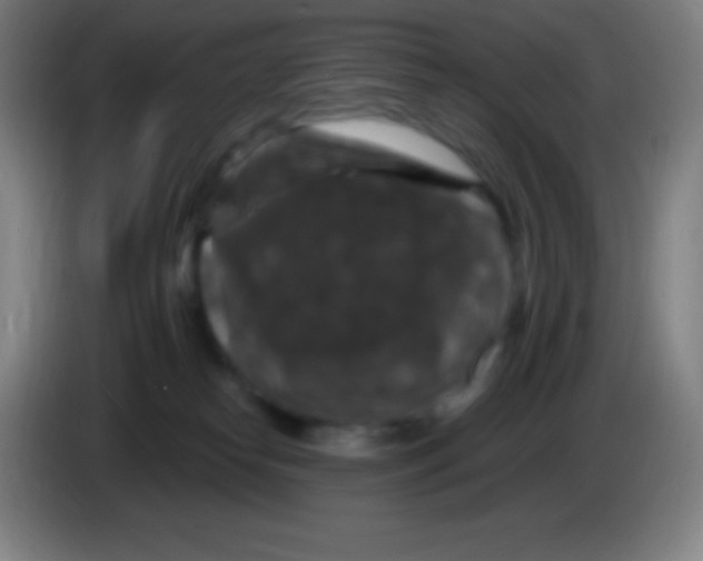 X0000085300182200703302009