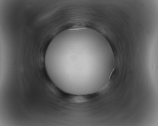 X0000085300183200703302009