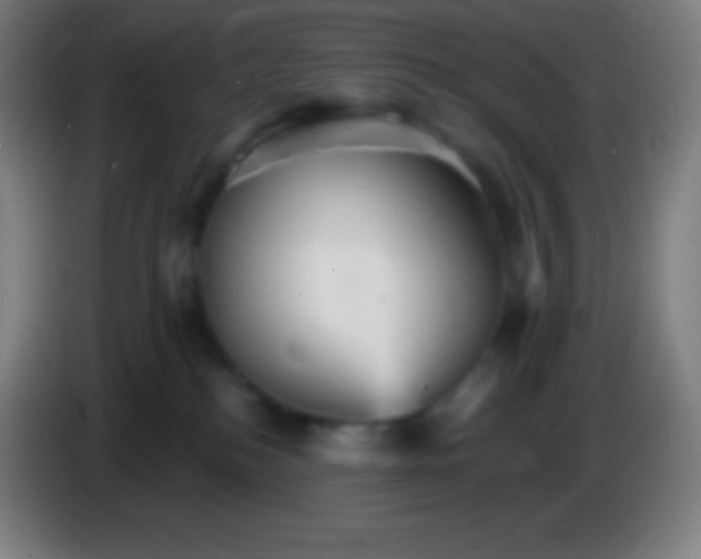 X0000085300184200703302009