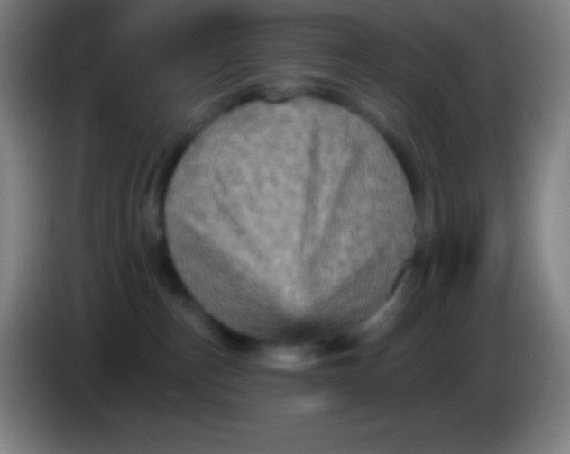 X0000085300187200703302009