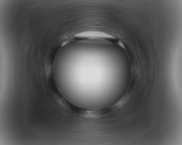 X0000085300188200703302009