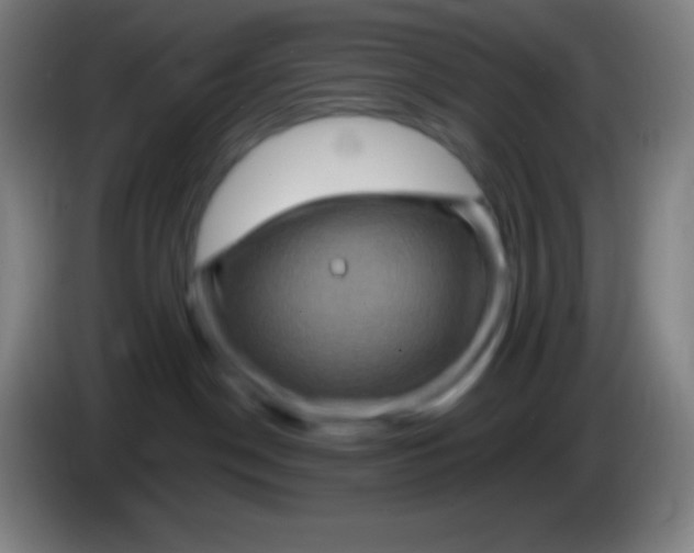 X0000085300190200703302009