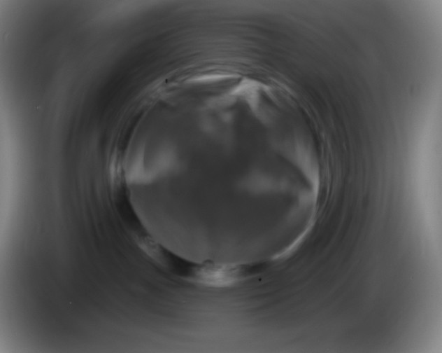 X0000085300191200703302009