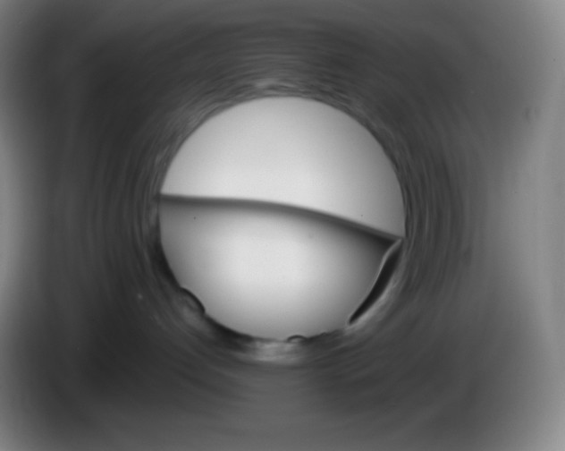 X0000085300192200703302009