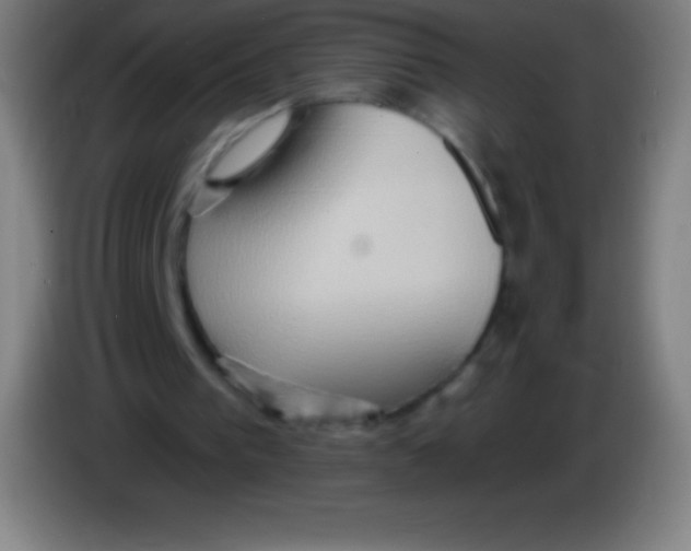 X0000085300193200703302008