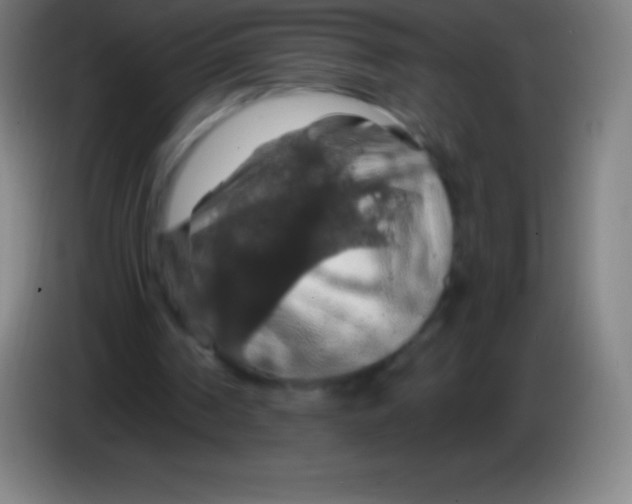 X0000085300194200703302008
