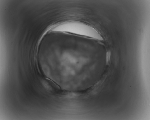 X0000085300195200703302008