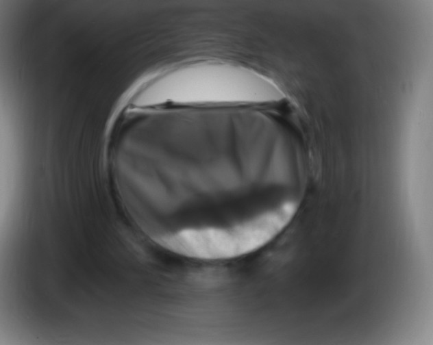 X0000085300196200703302008